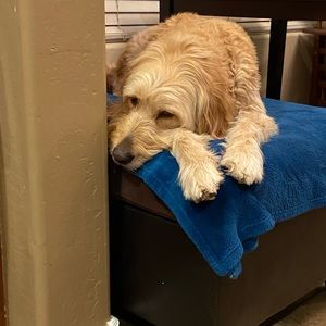 Meet your Posher, Heather